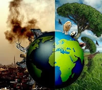 Problemas ambientais brasileiros - Mundo Educação