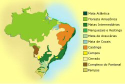 A vegetação brasileira: tipos, características e mapa